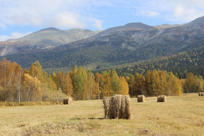 Осень в Риддере ч.3